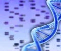 Quiz on DNA Fingerprinting
