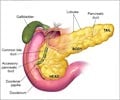 Quiz on Pancreas
