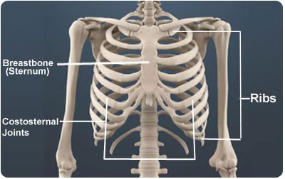 Facts about Skeletal System / Know your skeletal System - Print