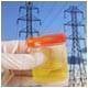  Urine as a Source of Power