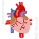 Scientists Concerned Over Increasing Malfunction Of Heart Devices Scientists Concerned Over Increasing Malfunction Of Heart Devices