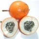  Passion Fruit Extract can Reduce Severity of Asthma and Lower Blood Pressure