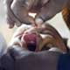 Deadly Polio Kills 10 Children in Tajikistan: WHO
