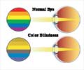 Color Blindness Calculator