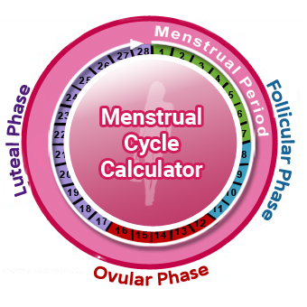 or Menstrual Cycle Calculator