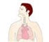 Asthma Management - Animation