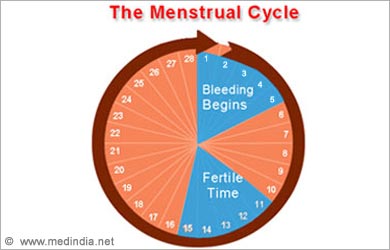 Womens Ovulation Chart