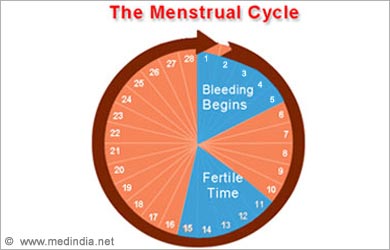 Ovulation Predictor Chart