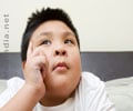 Tips  to Control Obesity in Children
