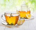 Health Benefits of Tea